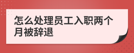 怎么处理员工入职两个月被辞退