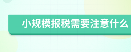 小规模报税需要注意什么