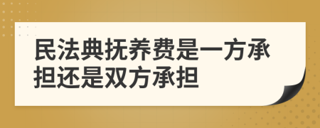 民法典抚养费是一方承担还是双方承担