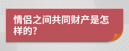 情侣之间共同财产是怎样的?