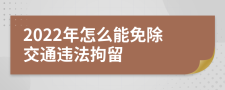 2022年怎么能免除交通违法拘留