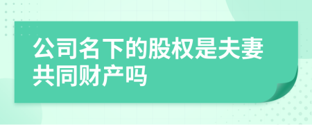 公司名下的股权是夫妻共同财产吗