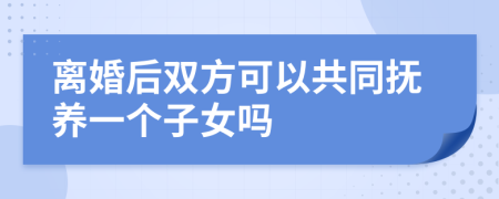 离婚后双方可以共同抚养一个子女吗