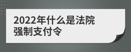 2022年什么是法院强制支付令