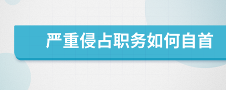 严重侵占职务如何自首
