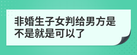 非婚生子女判给男方是不是就是可以了