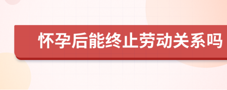 怀孕后能终止劳动关系吗