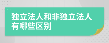 独立法人和非独立法人有哪些区别