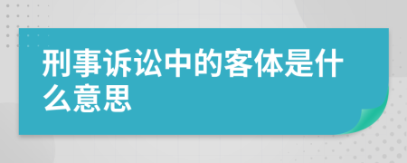 刑事诉讼中的客体是什么意思