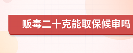 贩毒二十克能取保候审吗