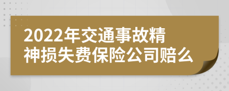 2022年交通事故精神损失费保险公司赔么