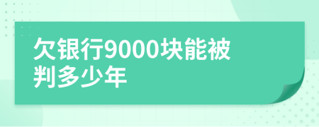 欠银行9000块能被判多少年