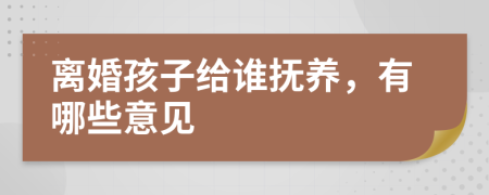 离婚孩子给谁抚养，有哪些意见