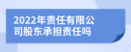 2022年责任有限公司股东承担责任吗