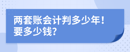 两套账会计判多少年！要多少钱？