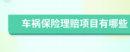 车祸保险理赔项目有哪些