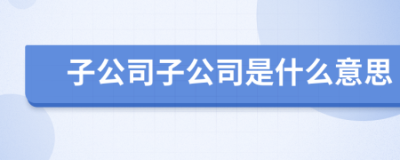 子公司子公司是什么意思