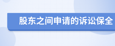 股东之间申请的诉讼保全