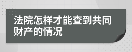 法院怎样才能查到共同财产的情况