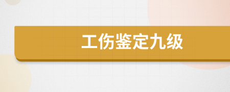 工伤鉴定九级