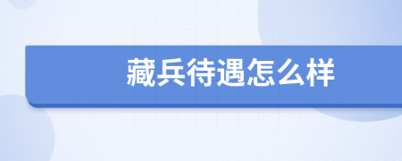 藏兵待遇怎么样