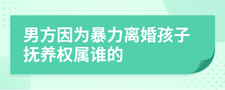 男方因为暴力离婚孩子抚养权属谁的