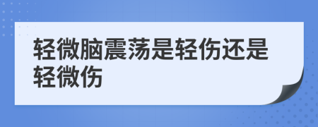 轻微脑震荡是轻伤还是轻微伤