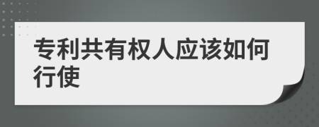 专利共有权人应该如何行使