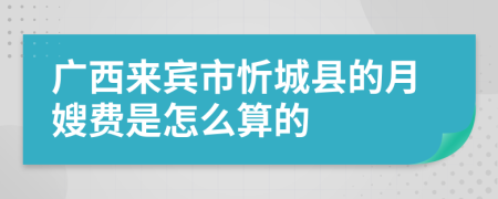 广西来宾市忻城县的月嫂费是怎么算的