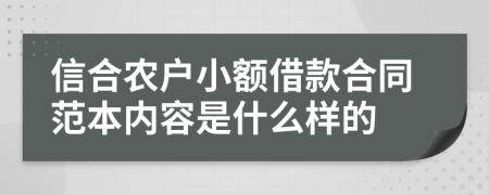 信合农户小额借款合同范本内容是什么样的