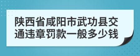 陕西省咸阳市武功县交通违章罚款一般多少钱