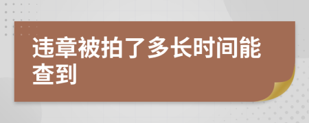 违章被拍了多长时间能查到