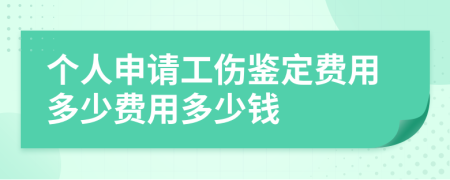 个人申请工伤鉴定费用多少费用多少钱