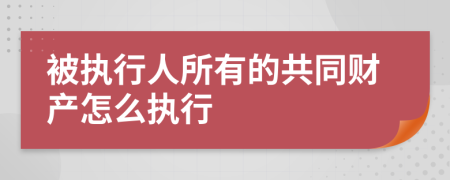 被执行人所有的共同财产怎么执行