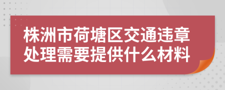 株洲市荷塘区交通违章处理需要提供什么材料