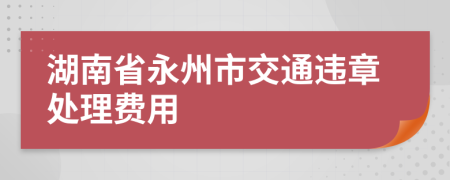 湖南省永州市交通违章处理费用