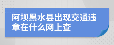 阿坝黑水县出现交通违章在什么网上查