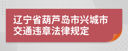 辽宁省葫芦岛市兴城市交通违章法律规定