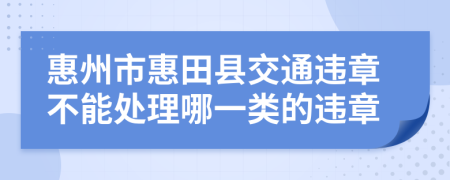 惠州市惠田县交通违章不能处理哪一类的违章
