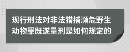 现行刑法对非法猎捕濒危野生动物罪既遂量刑是如何规定的