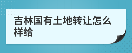 吉林国有土地转让怎么样给