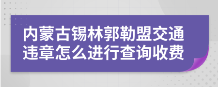 内蒙古锡林郭勒盟交通违章怎么进行查询收费