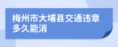 梅州市大埔县交通违章多久能消