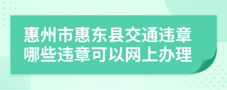 惠州市惠东县交通违章哪些违章可以网上办理