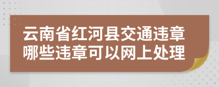 云南省红河县交通违章哪些违章可以网上处理