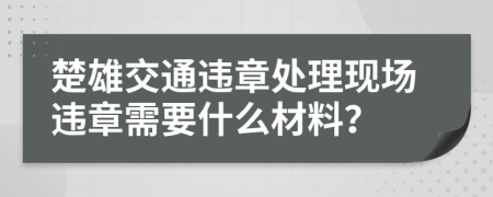 楚雄交通违章处理现场违章需要什么材料？