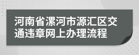 河南省漯河市源汇区交通违章网上办理流程