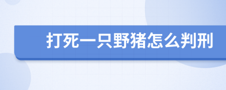 打死一只野猪怎么判刑