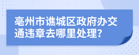 亳州市谯城区政府办交通违章去哪里处理？