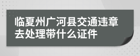 临夏州广河县交通违章去处理带什么证件